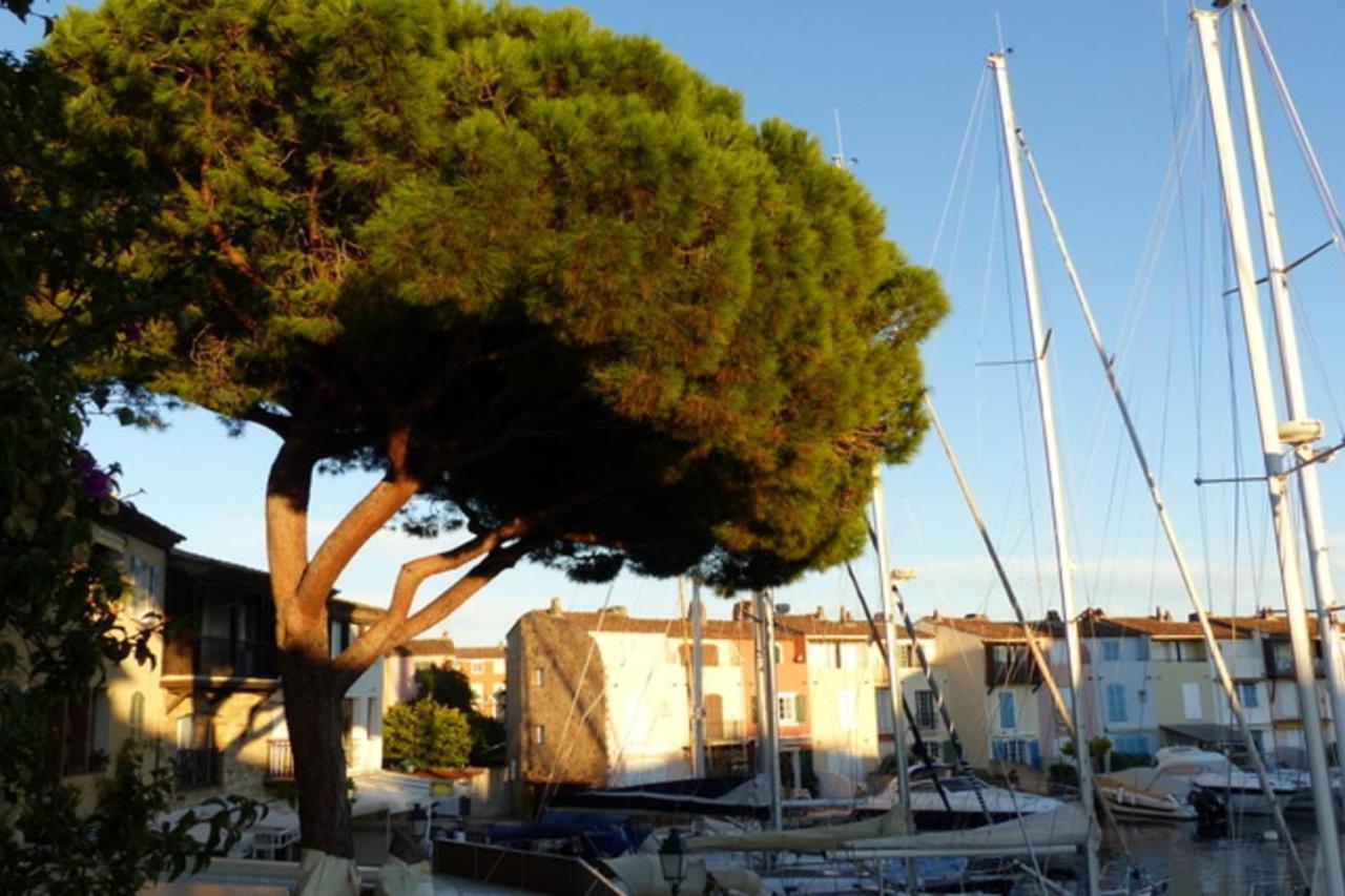 Charming Apartment Overlooking The Lake City Grimaud Exteriör bild